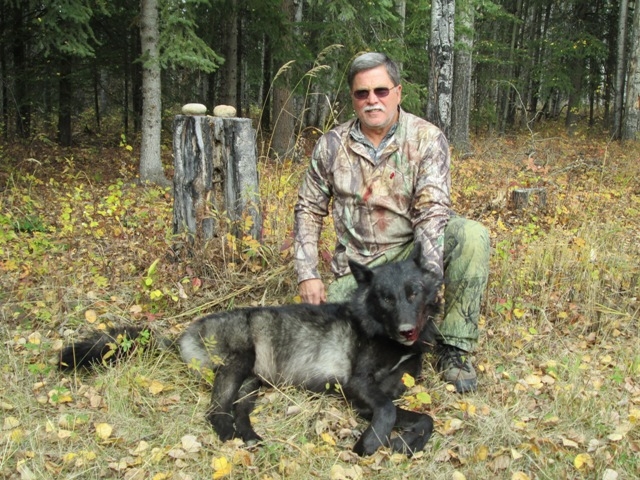 Wolf Hunting